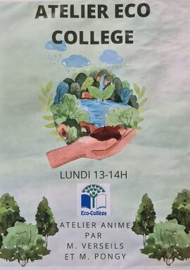 Affiche eco collège.jpg