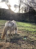 Galerie photo Concours photo
